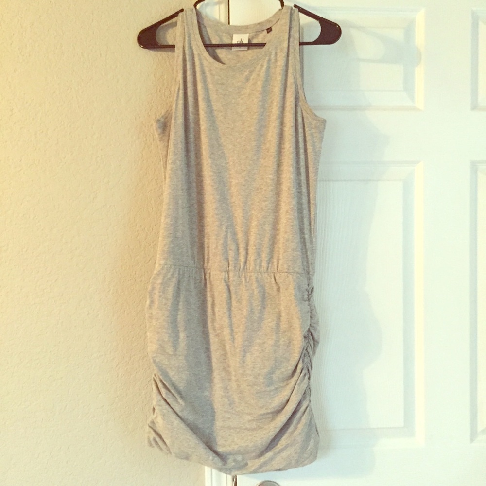 CAbi Short Rouged Dress